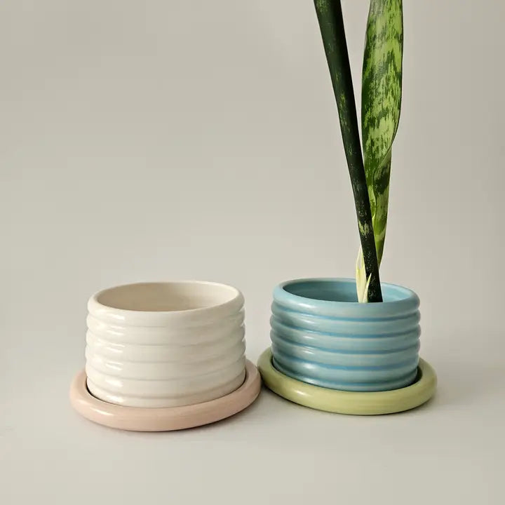 Bumpy Planter with Tray (Two-Toned) • Handmade Ceramic